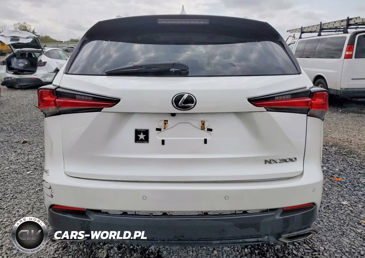 2020 Lexus Nx 300 VIN:JTJGARDZ8L2234630 - 6