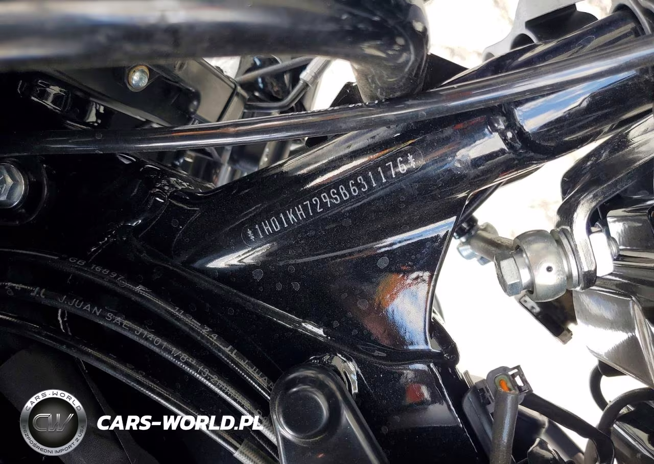 2025 Harley Davidson Fltrx Road Glide VIN:1HD1KH729SB631176 - 8