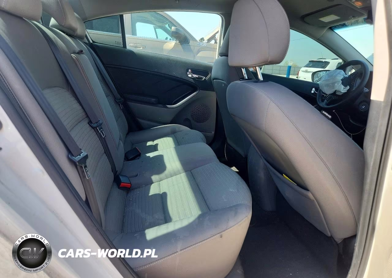 2015 Kia Forte Lx VIN:KNAFX4A65F5393616 - 10