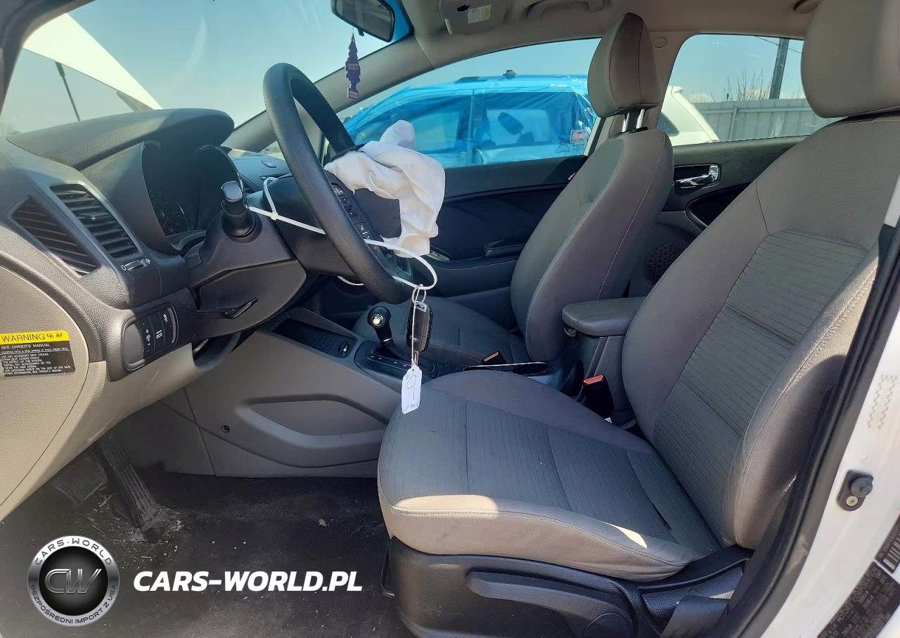 2015 Kia Forte Lx VIN:KNAFX4A65F5393616 - 7