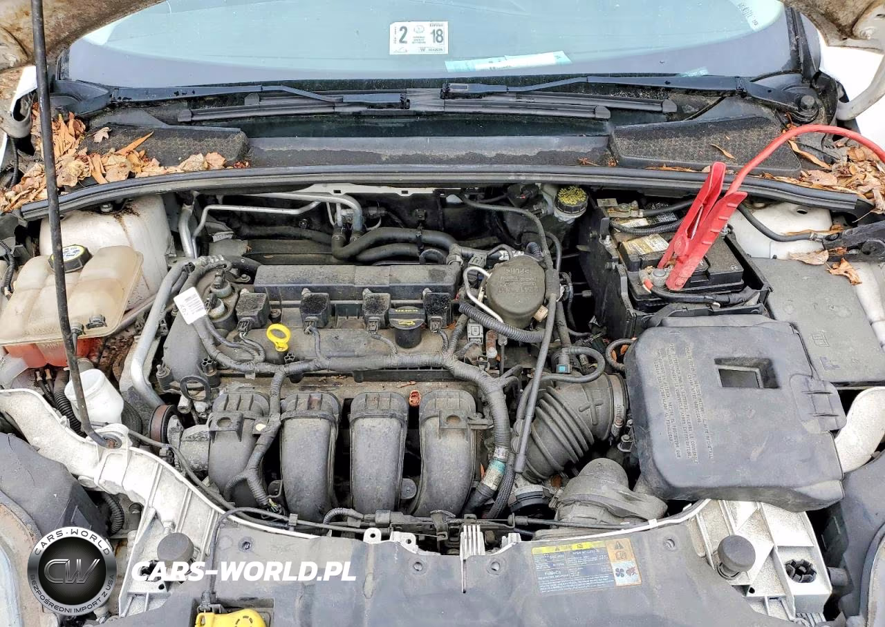 2012 Ford Focus Titanium VIN:1FAHP3N22CL309097 - 11