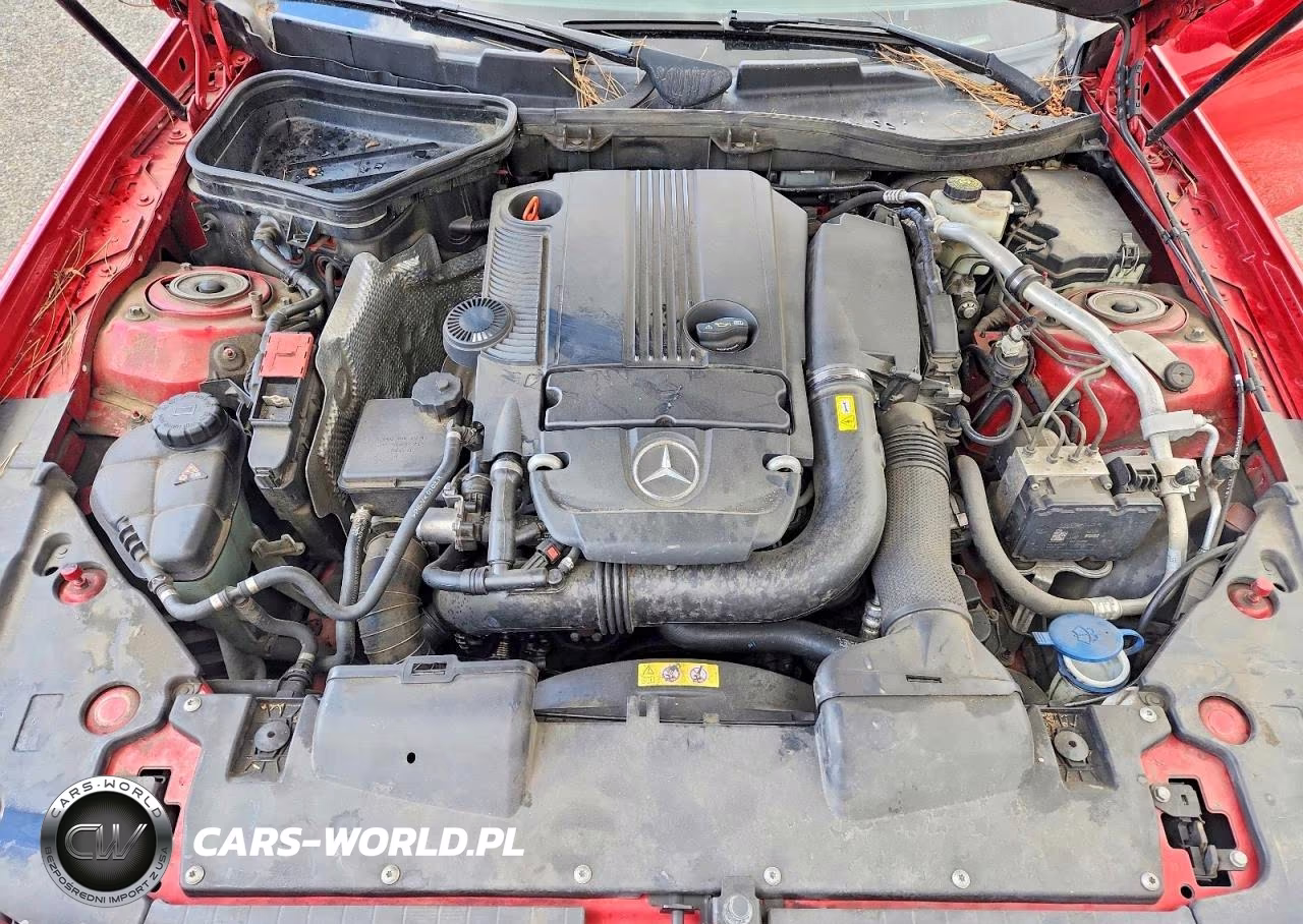 2012 Mercedes-Benz Slk 250 VIN:WDDPK4HA4CF034818 - 11