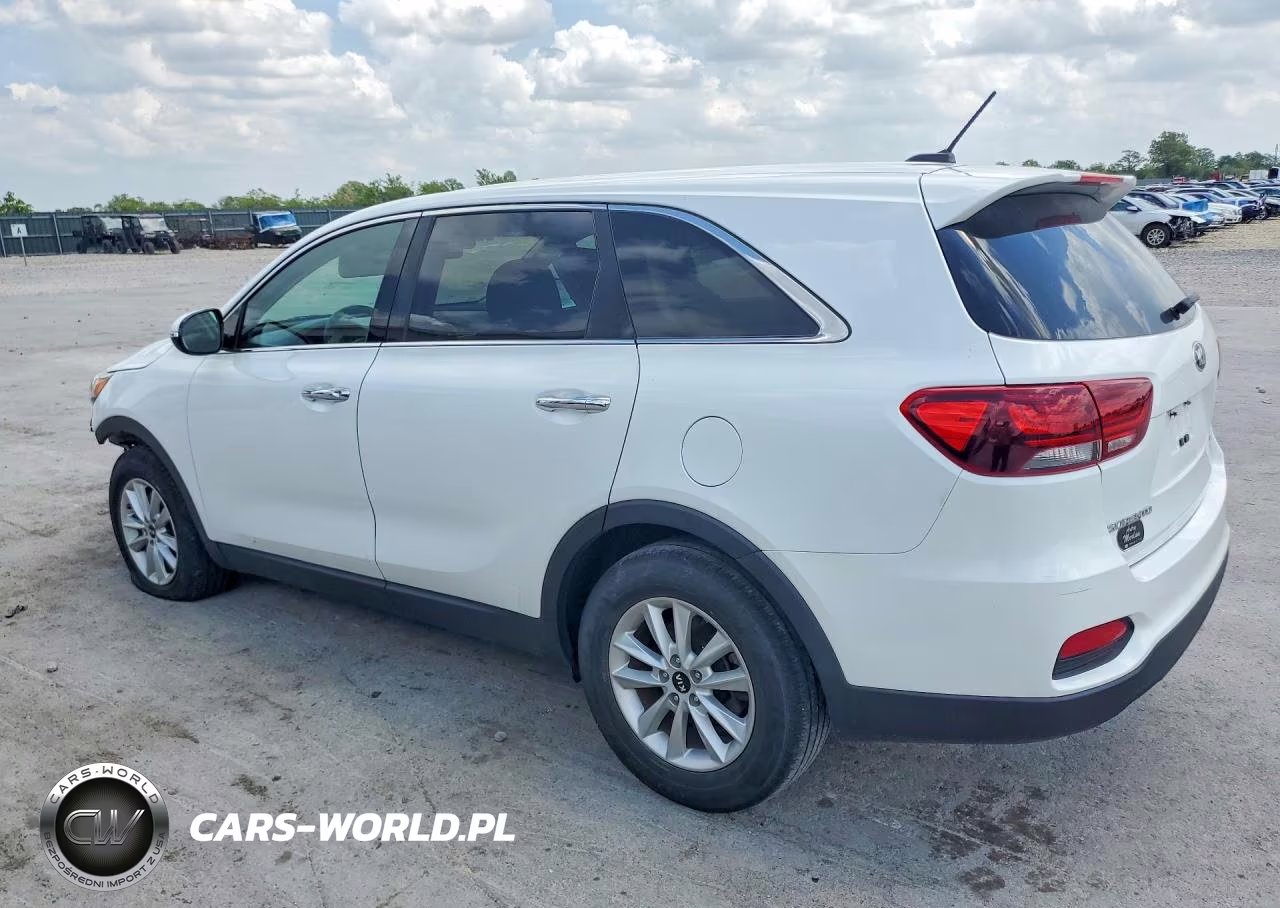 2020 Kia Sorento Lx VIN:5XYPG4A3XLG680224 - 2