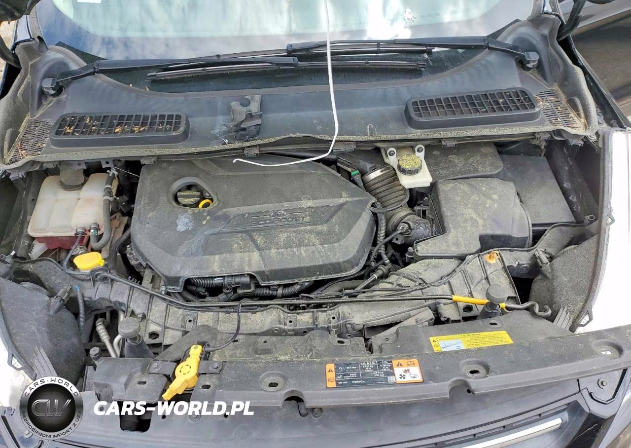 2014 Ford Escape Se VIN:1FMCU0GXXEUC46389 - 13