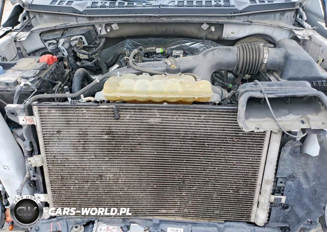 2020 Ford F150 Supercrew VIN:1FTEW1CP9LFA15293 - 11