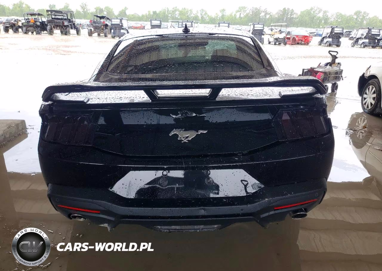 2025 Ford Mustang VIN:1FA6P8TH9S5131333 - 6