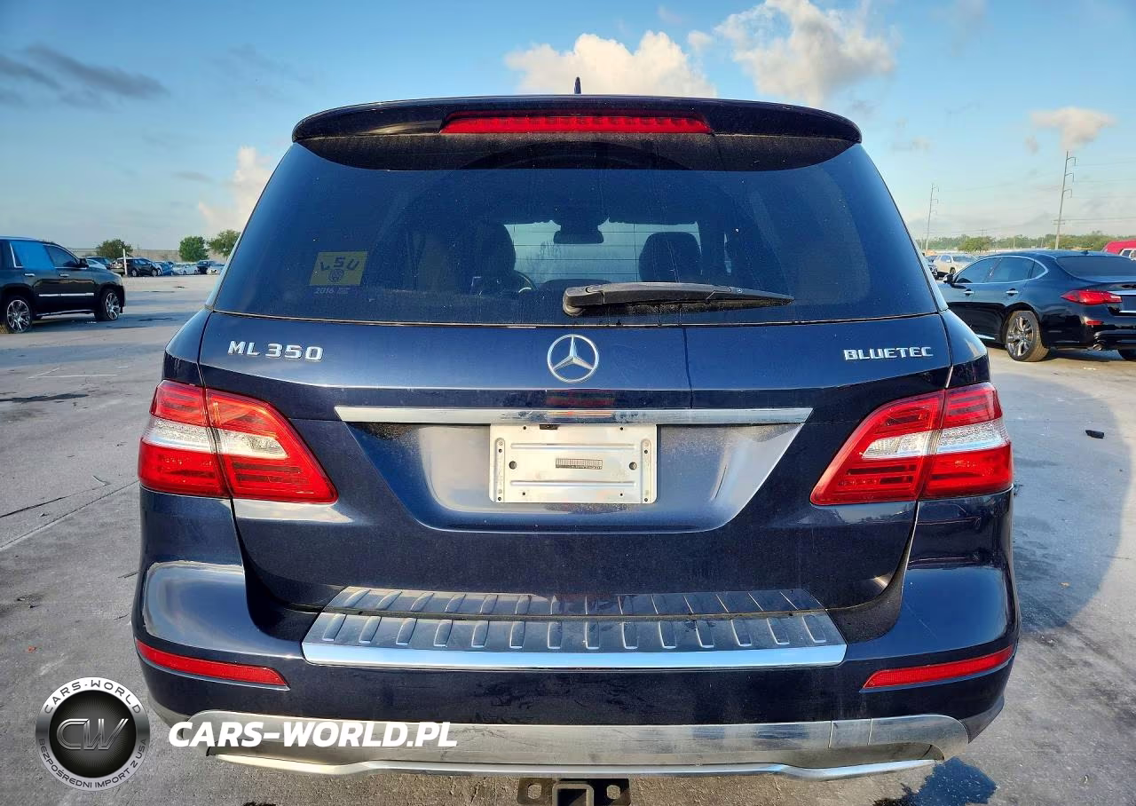 2013 Mercedes-Benz Ml 350 Bluetec VIN:4JGDA2EBXDA169619 - 6