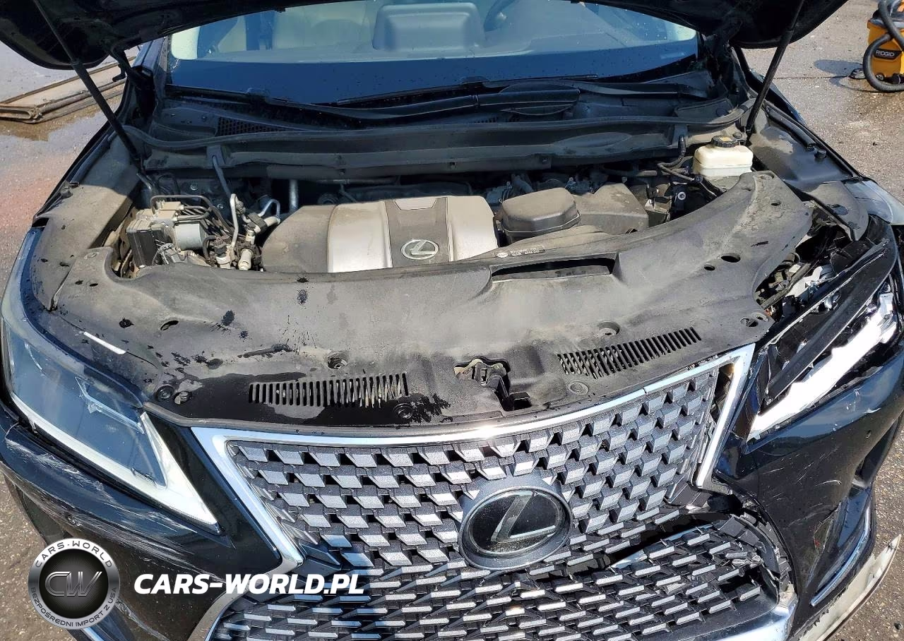 2020 Lexus Rx 350 VIN:2T2HZMAA7LC177187 - 12