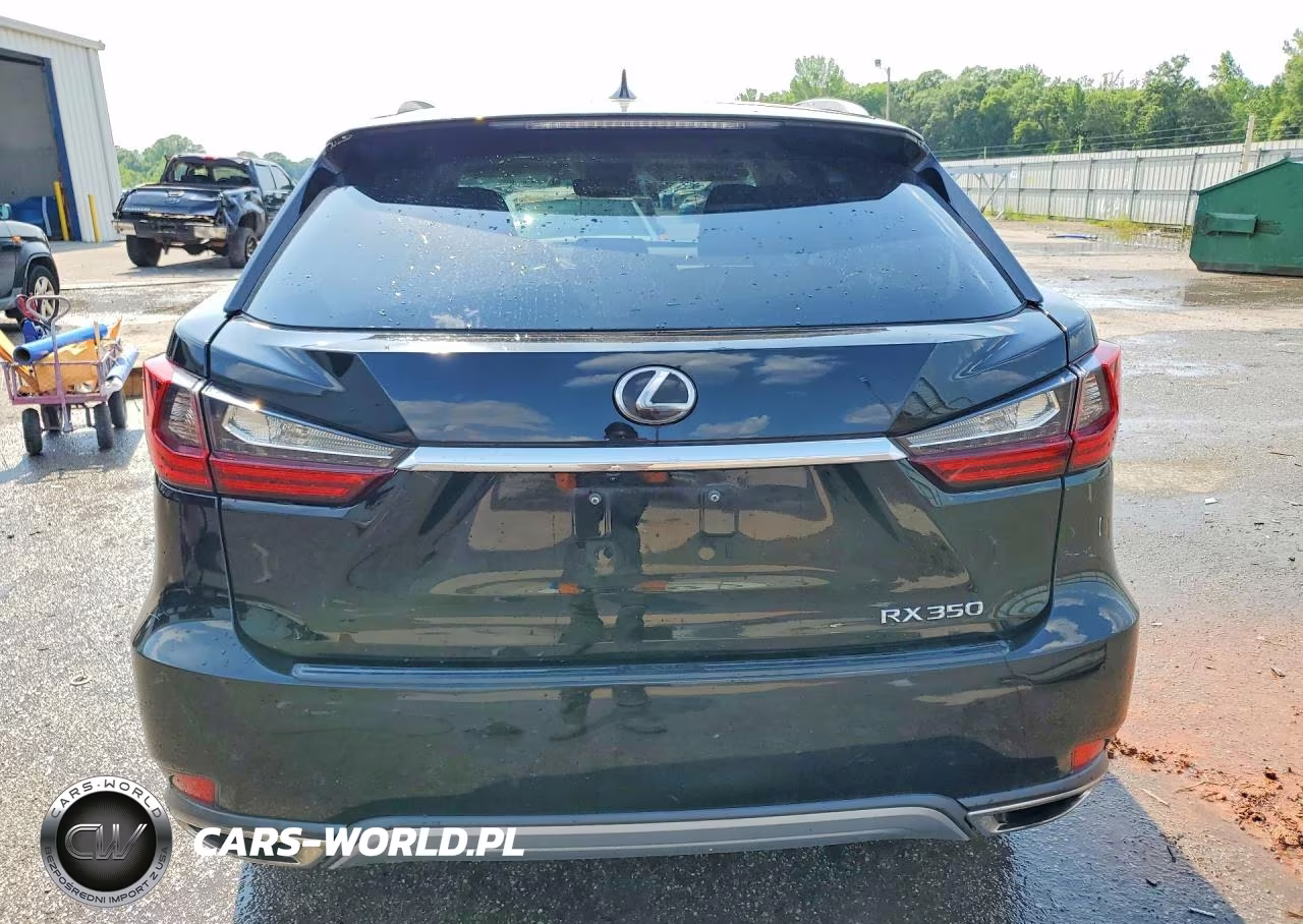 2020 Lexus Rx 350 VIN:2T2HZMAA7LC177187 - 6