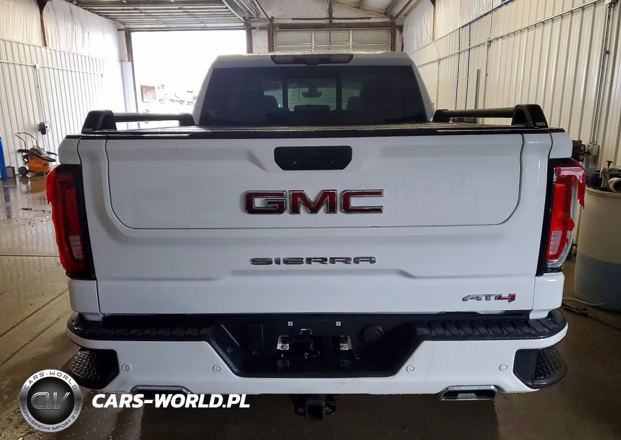 2020 GMC Sierra K1500 At4 VIN:3GTU9EET0LG347819 - 6