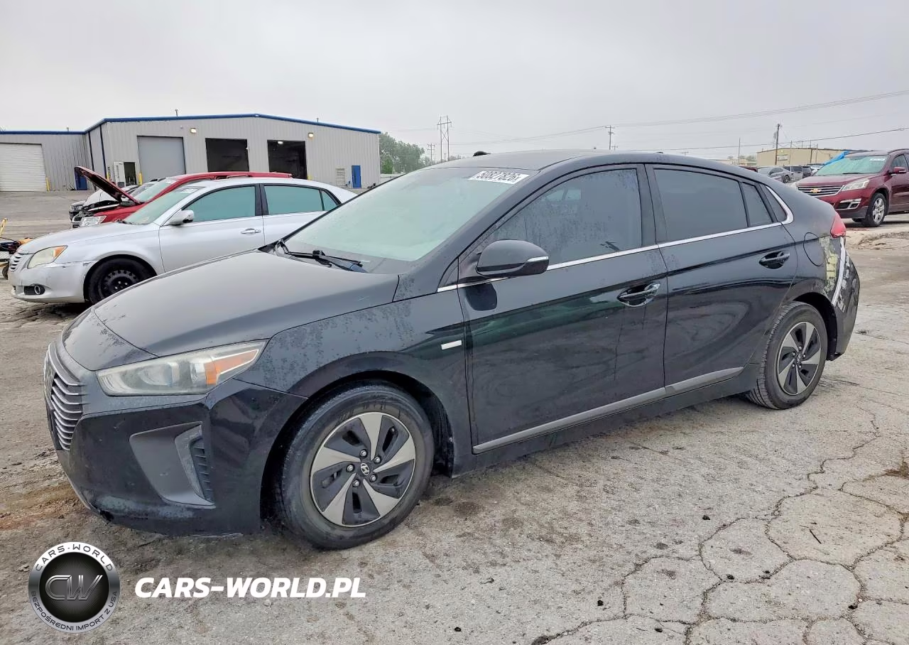2019 Hyundai Ioniq Sel VIN:KMHC75LC4KU133895 - 1