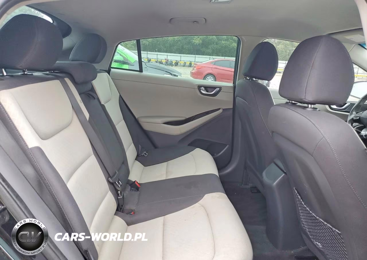 2019 Hyundai Ioniq Sel VIN:KMHC75LC4KU133895 - 10