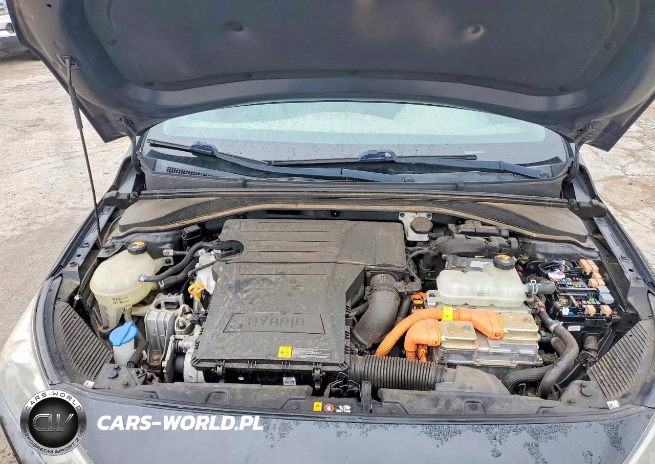 2019 Hyundai Ioniq Sel VIN:KMHC75LC4KU133895 - 11