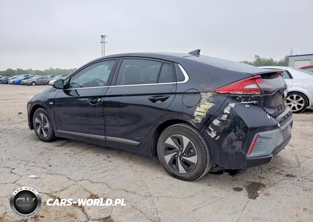 2019 Hyundai Ioniq Sel VIN:KMHC75LC4KU133895 - 2