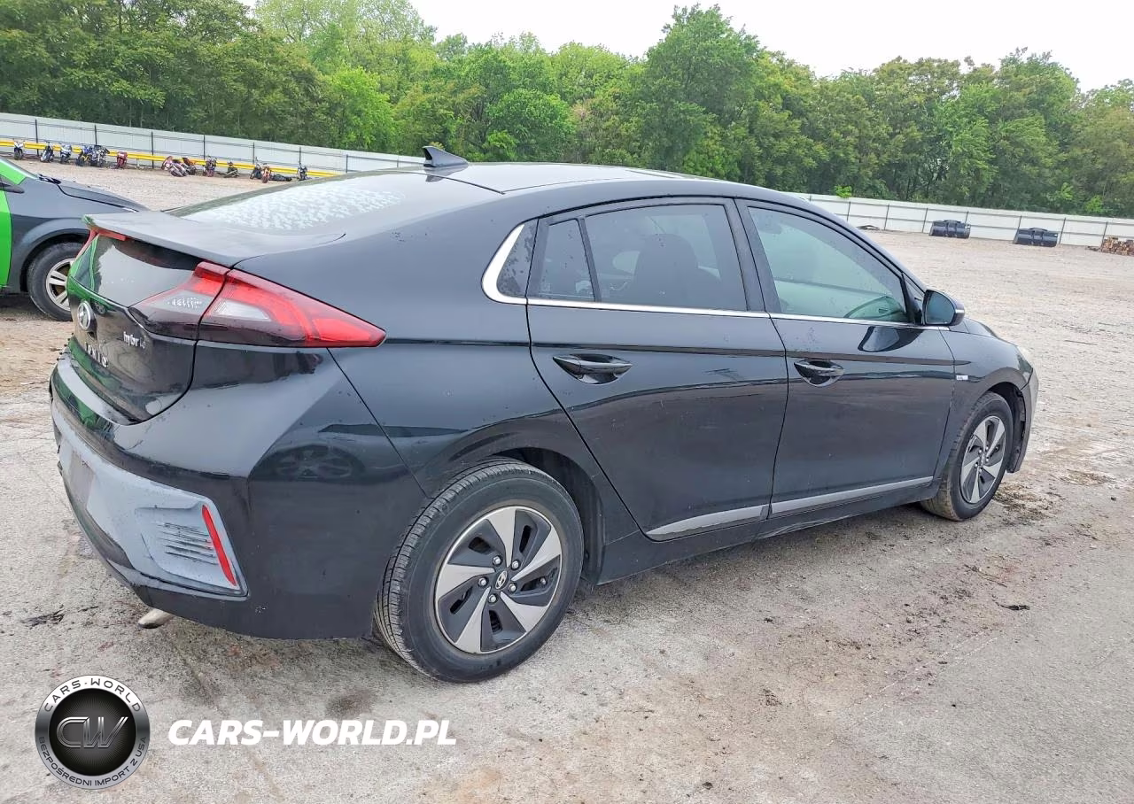 2019 Hyundai Ioniq Sel VIN:KMHC75LC4KU133895 - 3