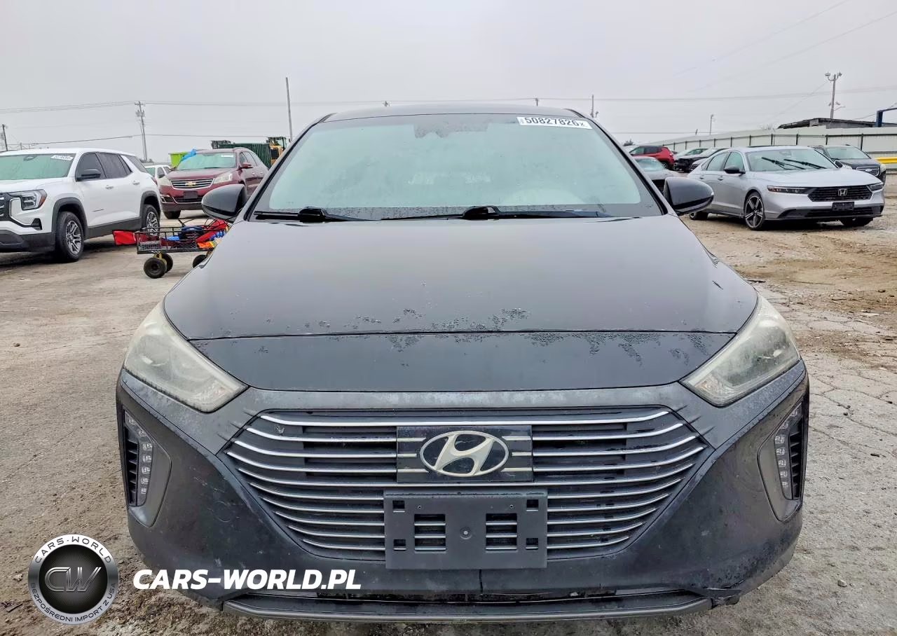 2019 Hyundai Ioniq Sel VIN:KMHC75LC4KU133895 - 5