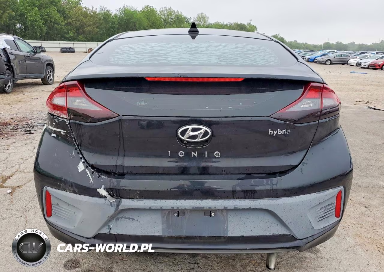 2019 Hyundai Ioniq Sel VIN:KMHC75LC4KU133895 - 6