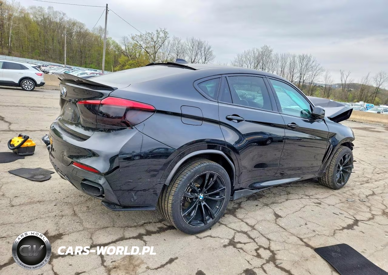 2019 BMW X6 xDrive35I VIN:5UXKU2C56K0Z64751 - 3