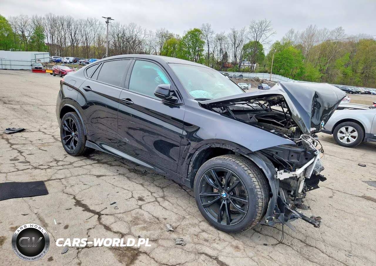 2019 BMW X6 xDrive35I VIN:5UXKU2C56K0Z64751 - 4
