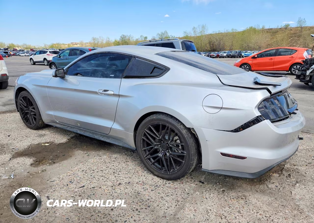 2017 Ford Mustang VIN:1FA6P8AM3H5311075 - 2