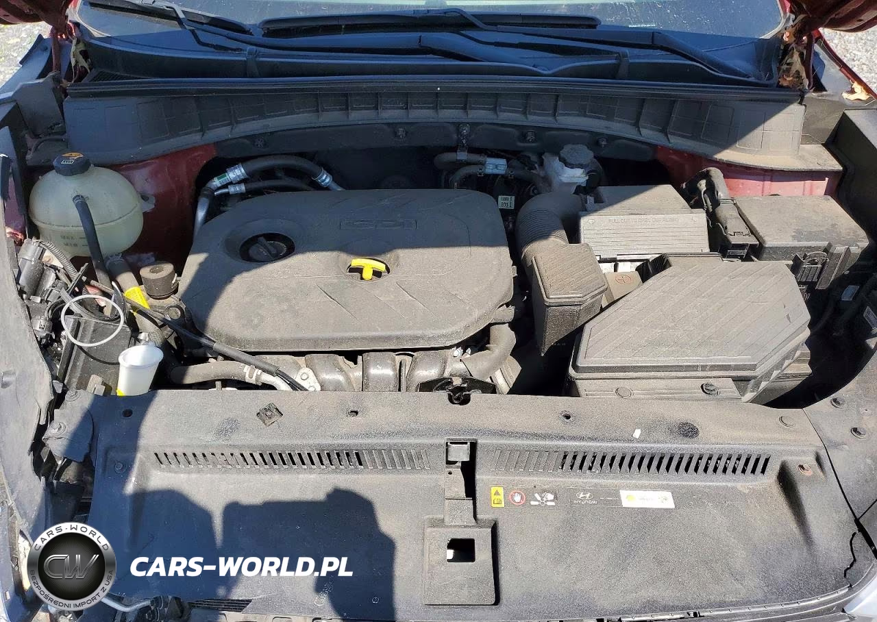 2019 Hyundai Tucson Se VIN:KM8J2CA42KU981358 - 12