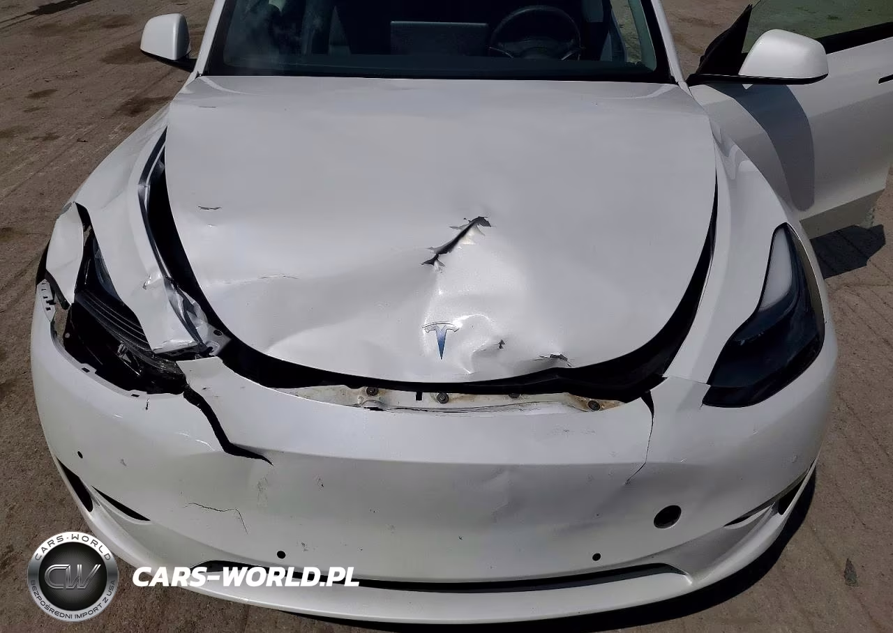 2022 Tesla Model Y VIN:7SAYGAEE7NF543723 - 11