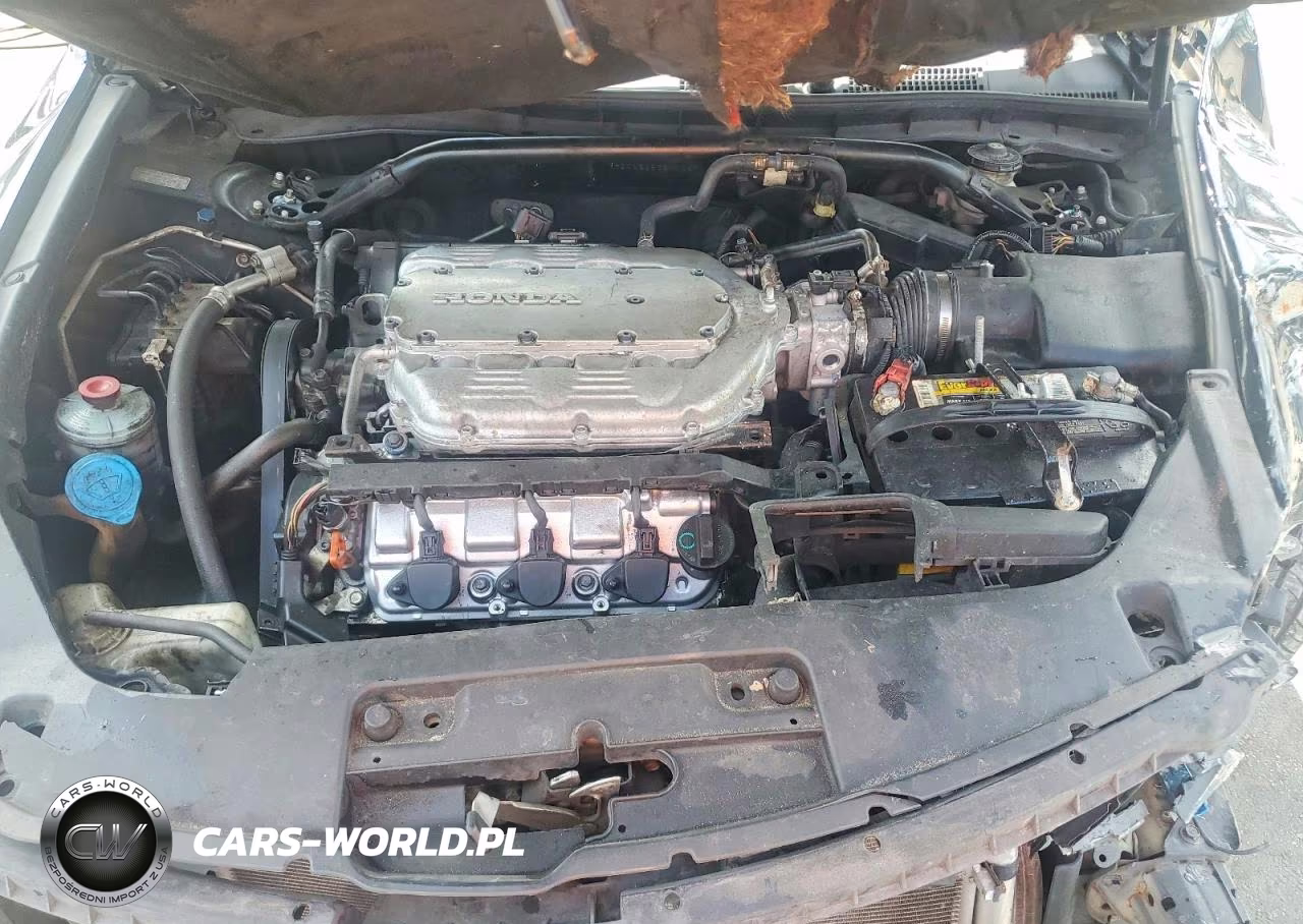 2008 Honda Accord Exl VIN:1HGCS22838A005948 - 11