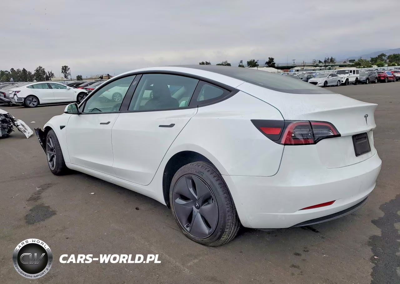 2023 Tesla Model 3 VIN:5YJ3E1EA1PF580862 - 2