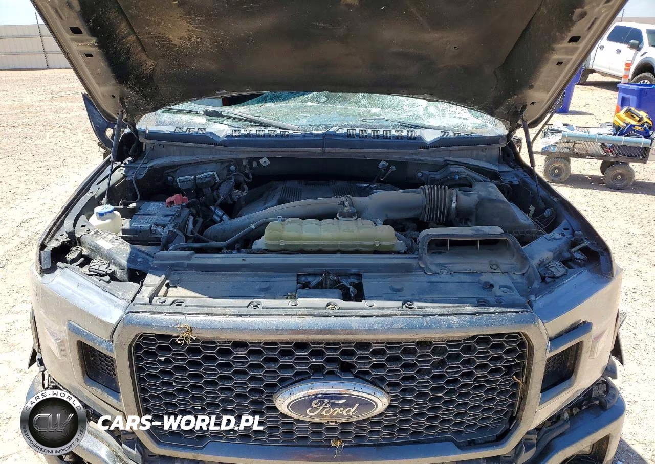 2019 Ford F150 Supercrew VIN:1FTEW1E46KFB90246 - 11