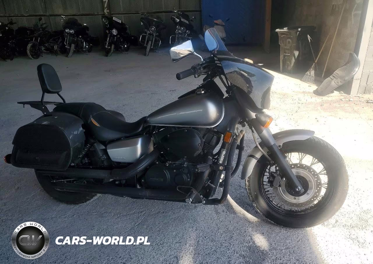 2015 Honda Vt750 C2B