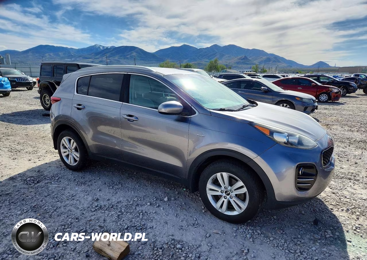 2017 Kia Sportage Lx VIN:KNDPMCAC0H7034925 - 4