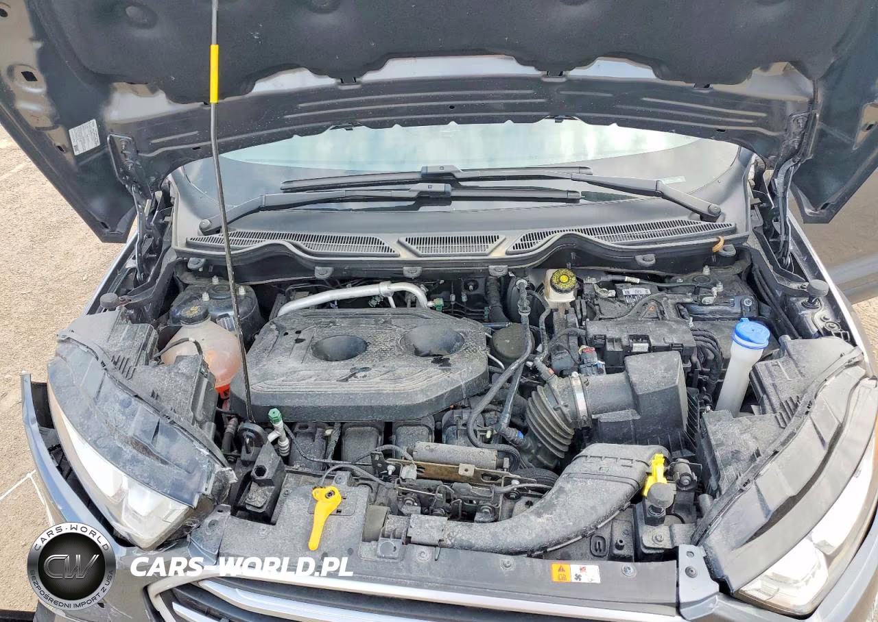 2020 Ford Ecosport Se VIN:MAJ6S3GL6LC385305 - 12