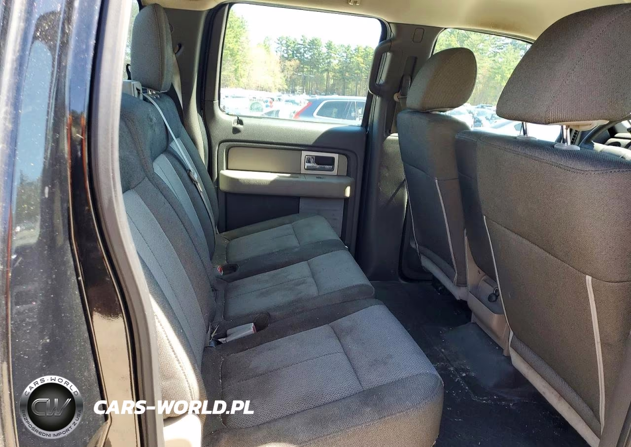 2010 Ford F150 Supercrew VIN:1FTEW1E85AFD47458 - 10