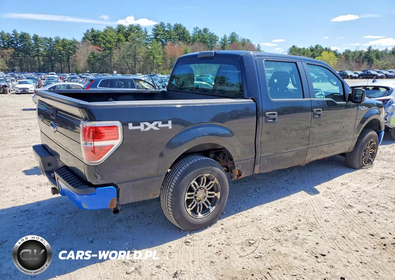 2010 Ford F150 Supercrew VIN:1FTEW1E85AFD47458 - 3