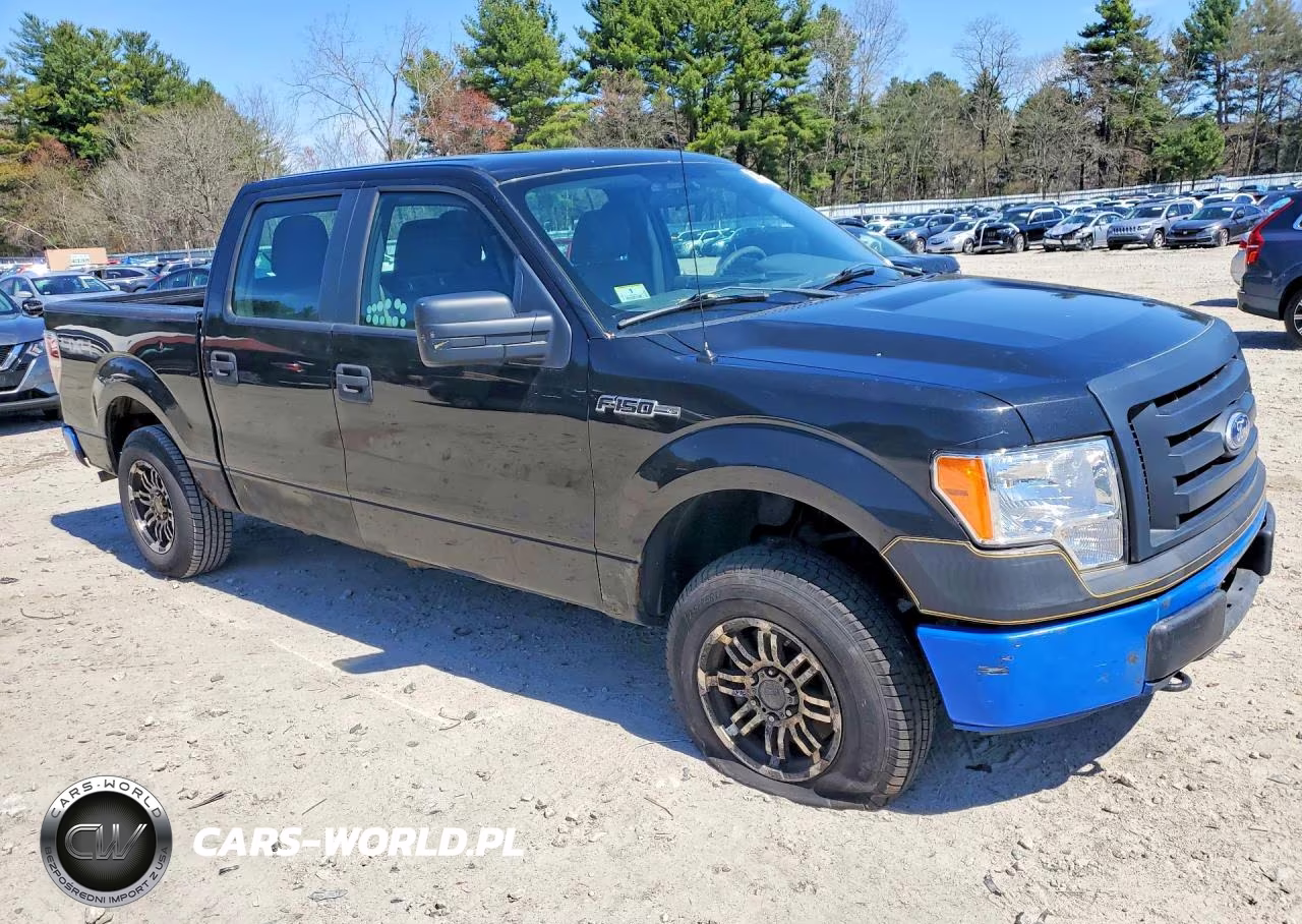 2010 Ford F150 Supercrew VIN:1FTEW1E85AFD47458 - 4