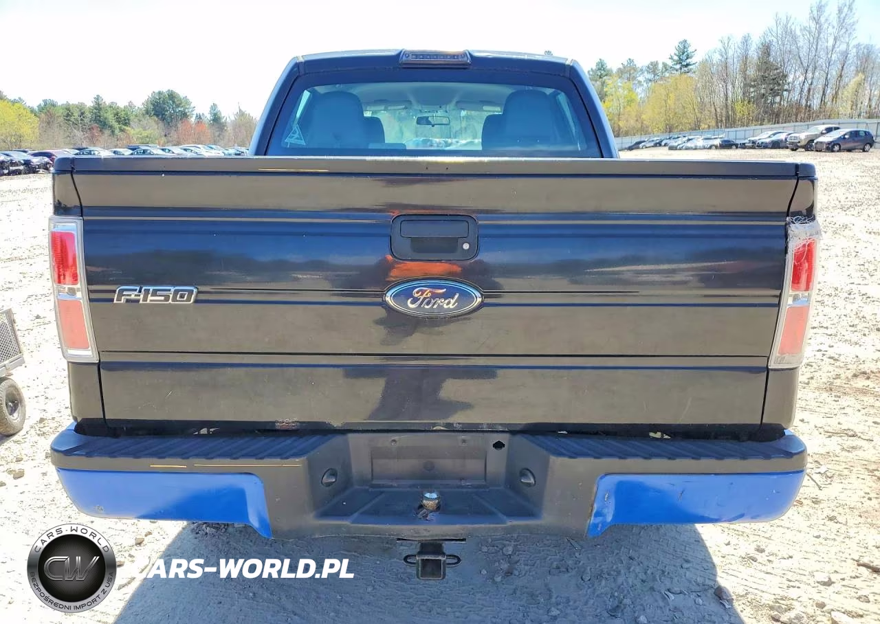 2010 Ford F150 Supercrew VIN:1FTEW1E85AFD47458 - 6