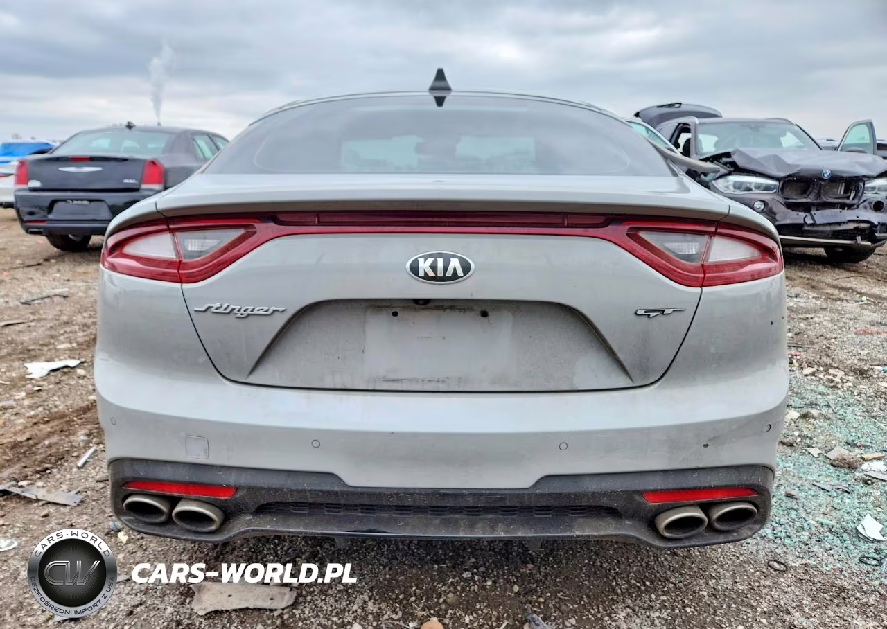 2018 Kia Stinger Gt1 VIN:KNAE45LC5J6036520 - 6