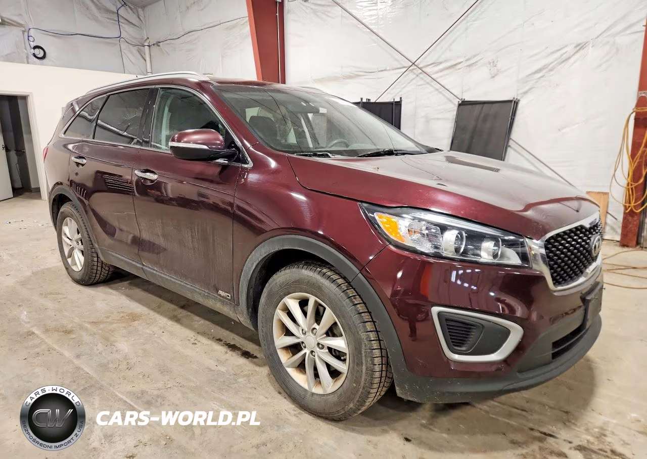 2017 Kia Sorento Lx VIN:5XYPGDA32HG331694 - 4