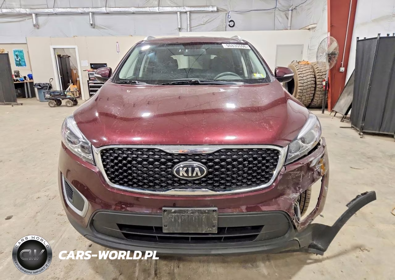 2017 Kia Sorento Lx VIN:5XYPGDA32HG331694 - 5