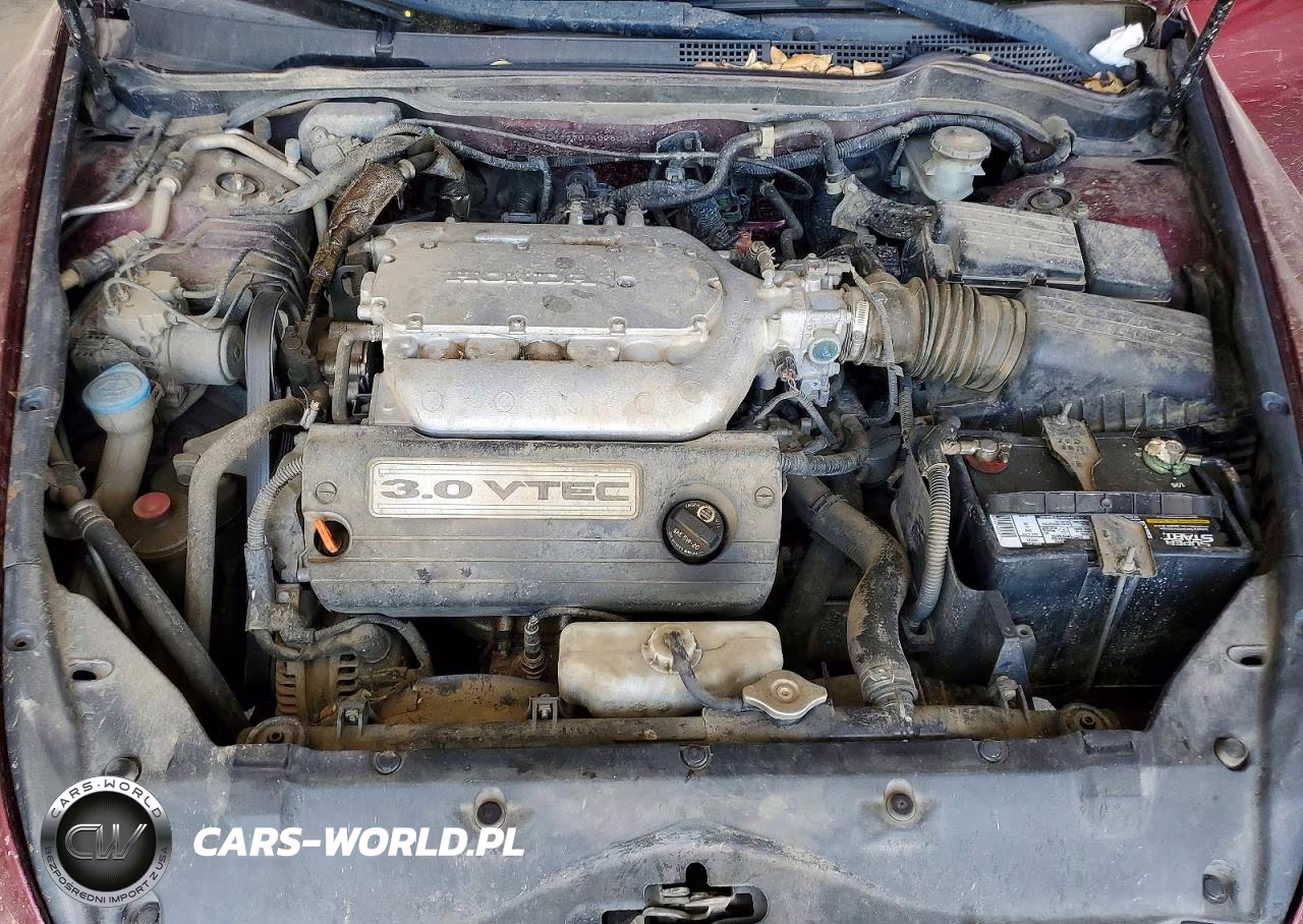 2006 Honda Accord Ex VIN:1HGCM66536A025065 - 11