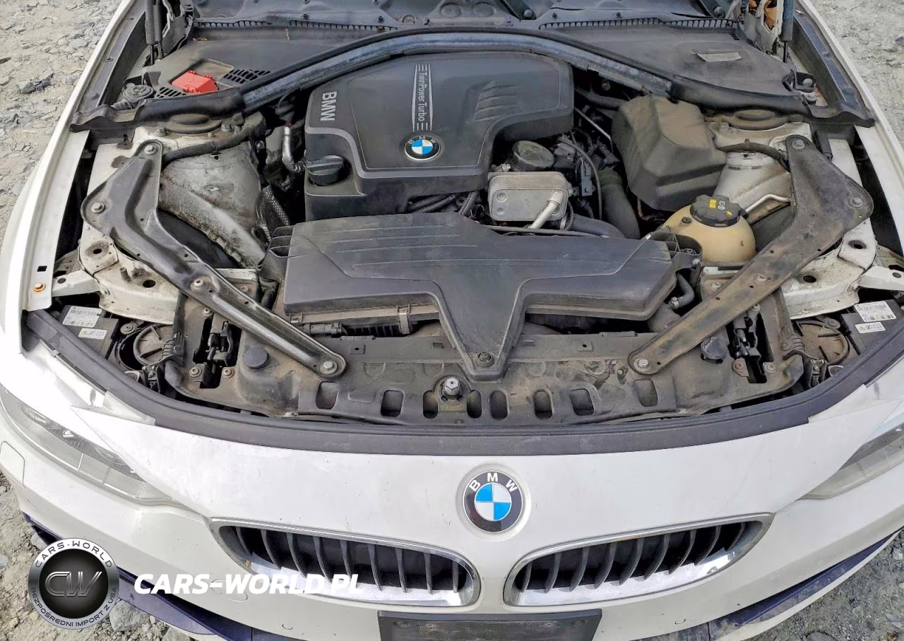 2014 BMW 428 I Sulev VIN:WBA3V7C5XEJ873395 - 11