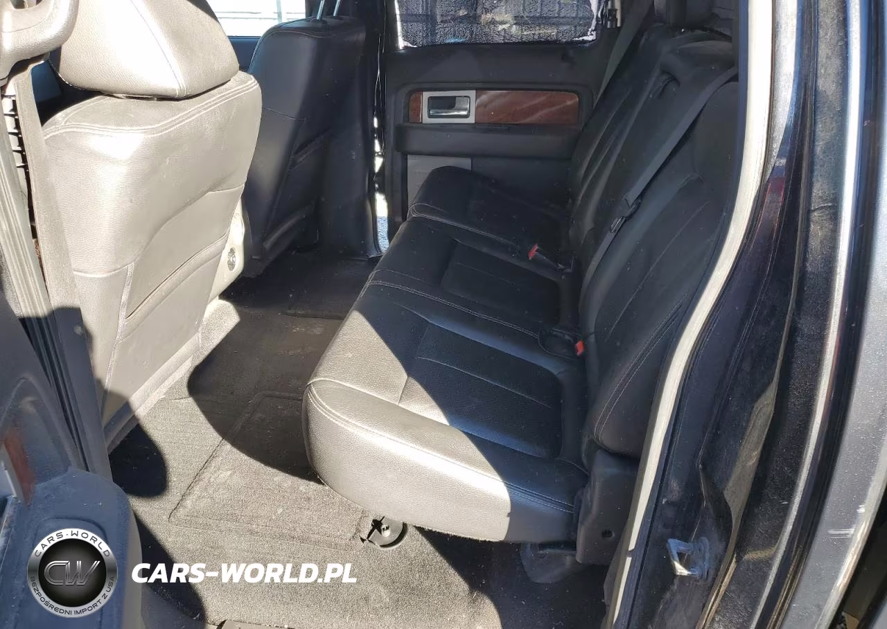 2010 Ford F150 Supercrew VIN:1FTFW1CV5AFA22564 - 17