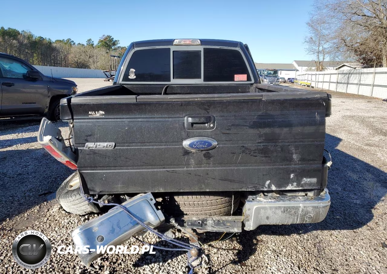 2010 Ford F150 Supercrew VIN:1FTFW1CV5AFA22564 - 8