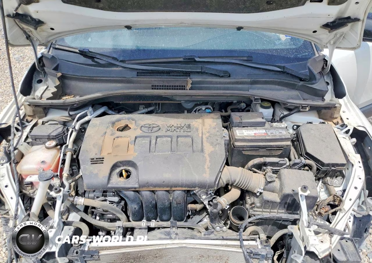 2019 Toyota C-Hr Limited VIN:JTNKHMBX8K1049457 - 12