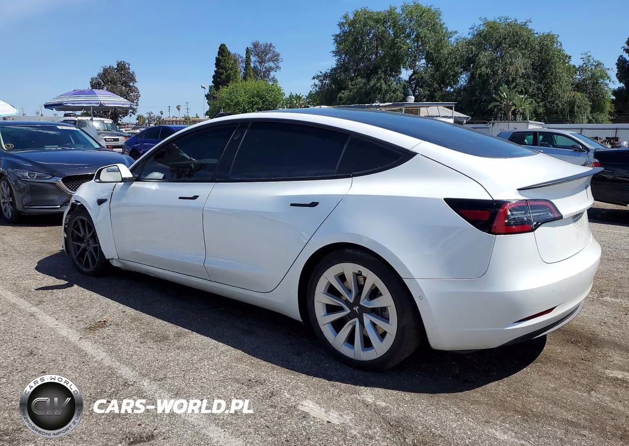 2021 Tesla Model 3 VIN:5YJ3E1EB0MF015555 - 2