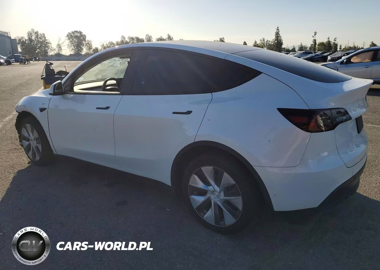 2022 Tesla Model Y VIN:7SAYGDEE7NF408260 - 2