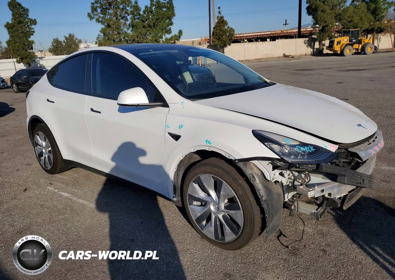 2022 Tesla Model Y VIN:7SAYGDEE7NF408260 - 4