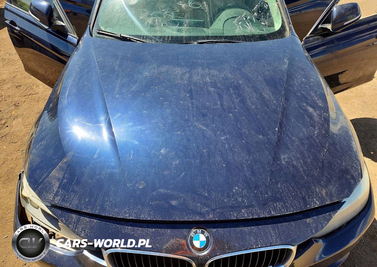2014 BMW 320 I xDrive VIN:WBA3C3G51ENS71079 - 11