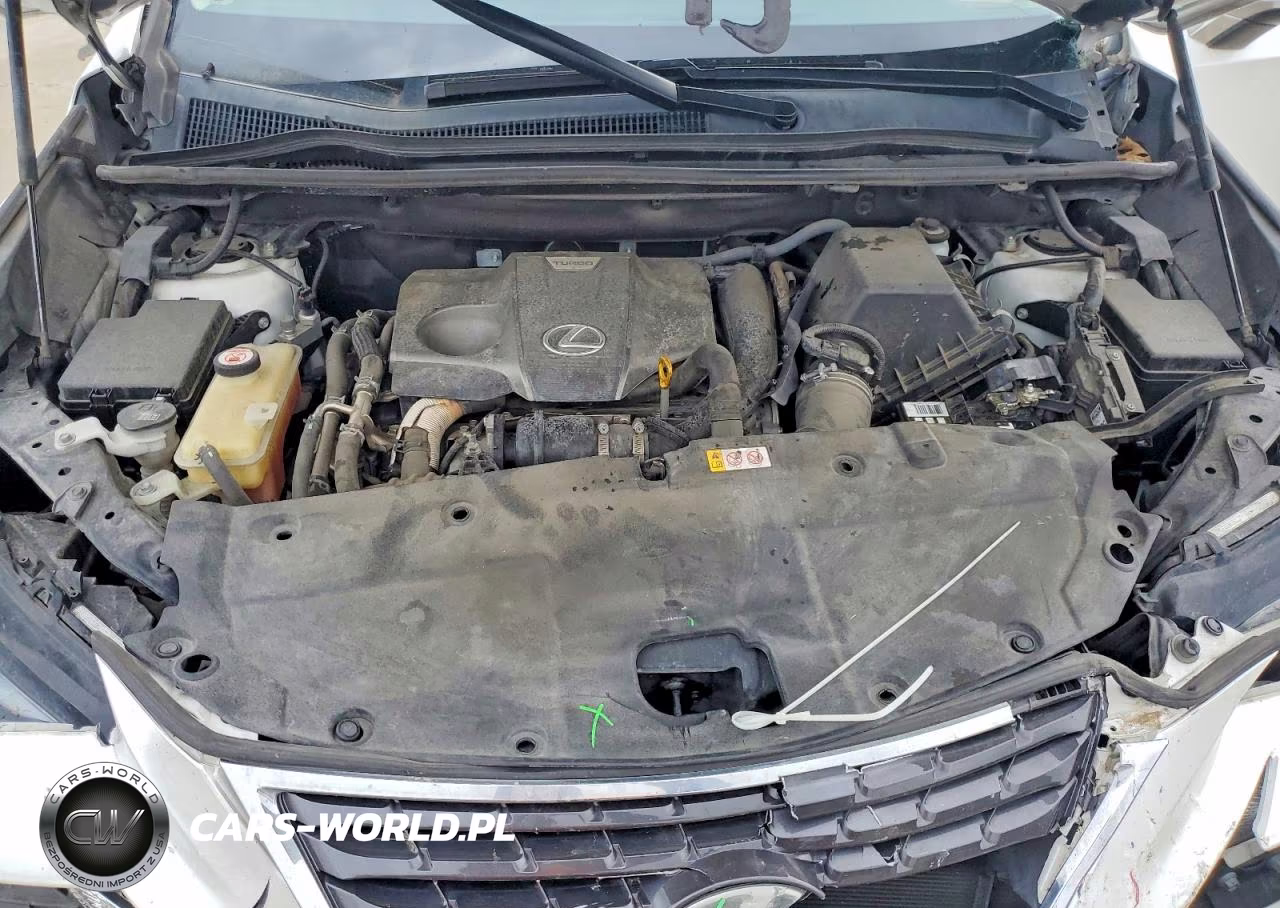 2019 Lexus Nx 300 Base VIN:JTJYARBZXK2136432 - 12