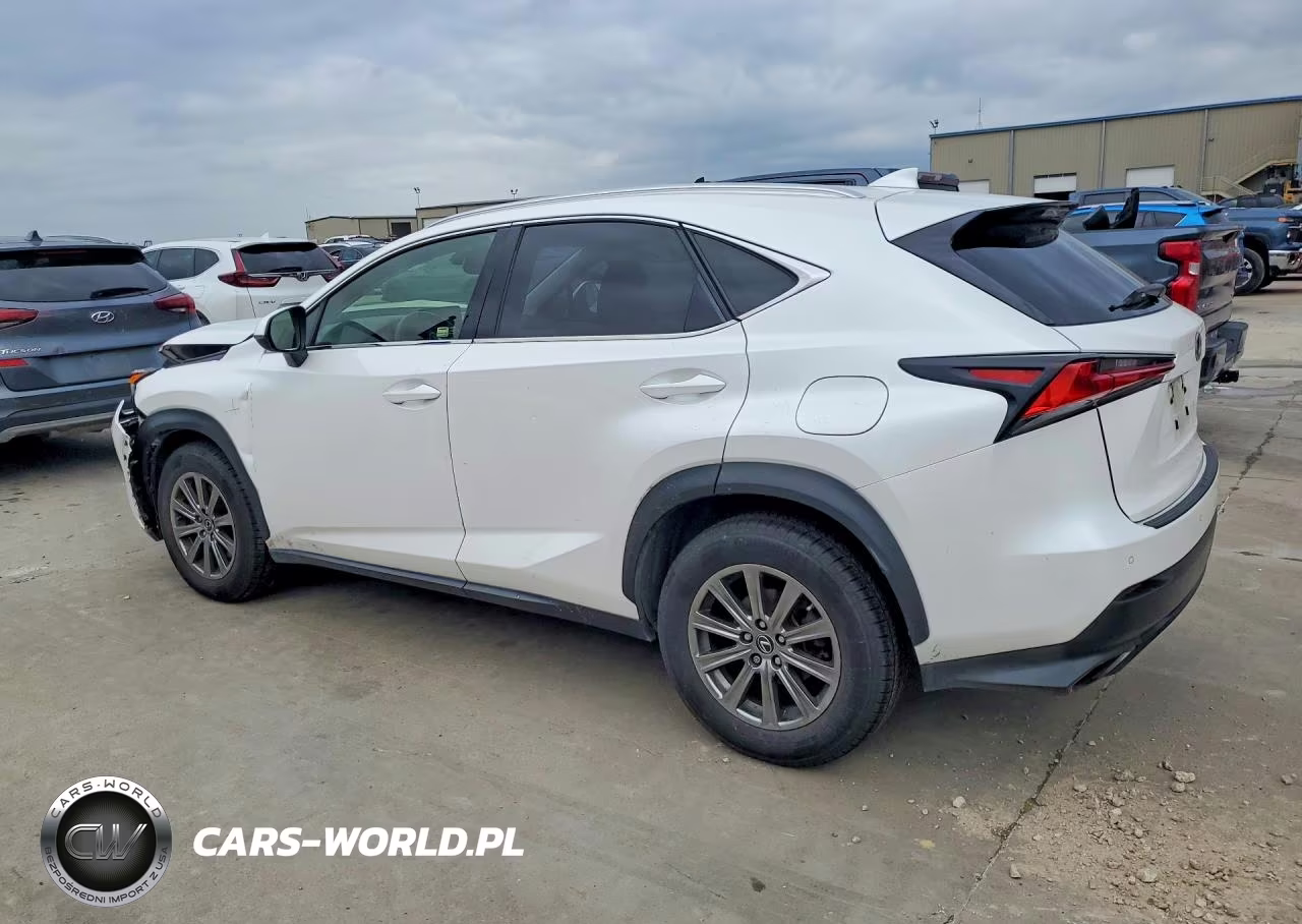 2019 Lexus Nx 300 Base VIN:JTJYARBZXK2136432 - 2